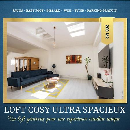 Loft Cosy - Hypercentre - Sauna - 200M2 - Wifi Graulhet Εξωτερικό φωτογραφία